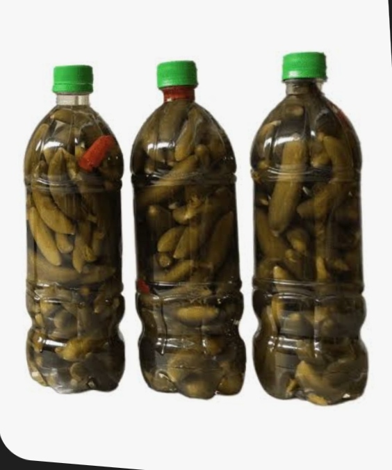 خیار شور خانگی 