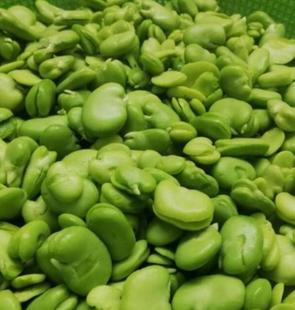 باقالی سبز و تازه منجمد(۵۰۰گرمی)