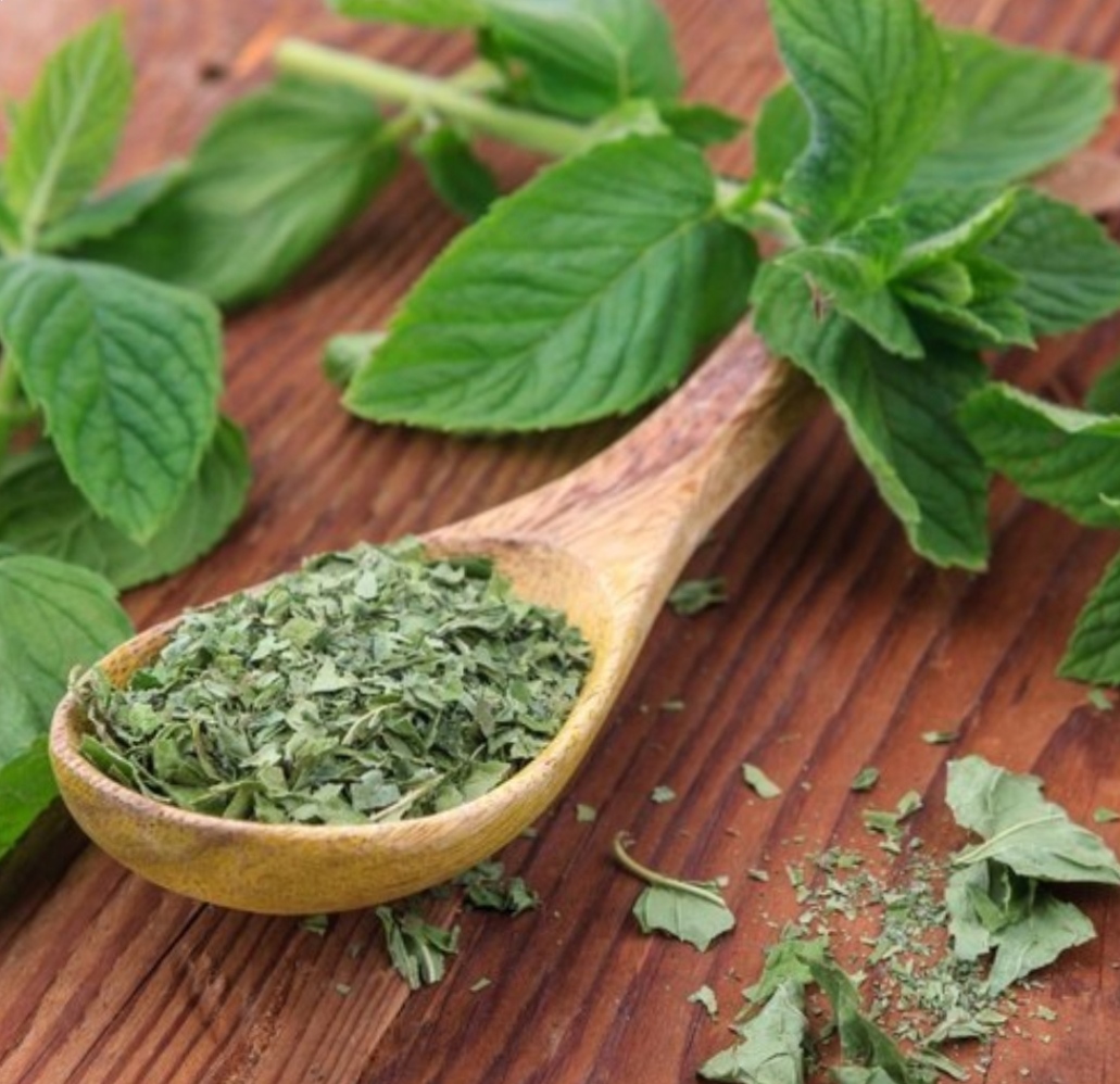 نعنا خشک ( در بسته بندی ۱۰۰ گرمی)